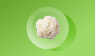 Lion's Mane Mushroom Extract