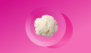 Lion's Mane Mushroom Extract