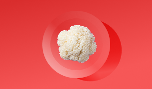 Lion's Mane Mushroom Extract