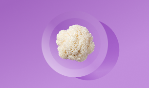 Lion's Mane Mushroom Extract