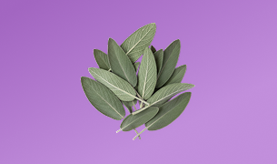 Cognitive Support Blend